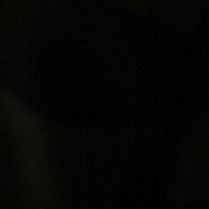 Meet your Posher, Fred